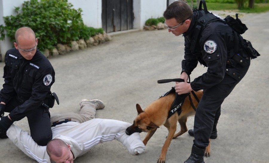 "La formation améliore l'image du métier de maîtrechien"