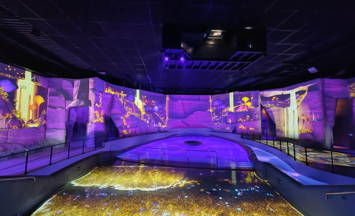 Aquascope: mapping vidéo (écran incurvé et sol) dans la piscine du Futuroscope