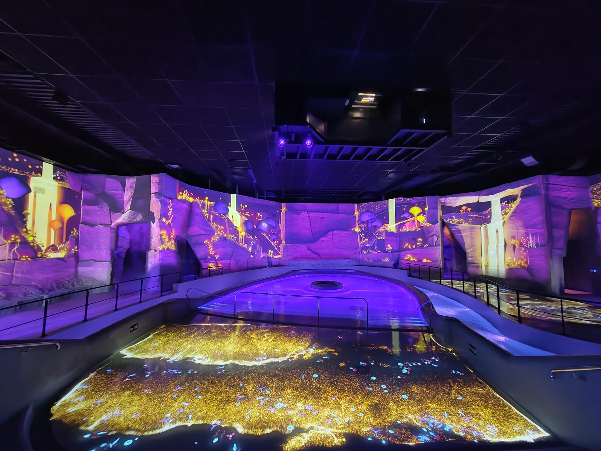 Aquascope: mapping vidéo (écran incurvé et sol) dans la piscine du Futuroscope